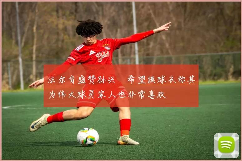 法尔肯盛赞孙兴慜希望换球衣称其为伟大球员家人也非常喜欢